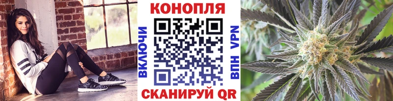 Конопля семена  ссылка на мегу ONION  Чистополь  купить  цена 